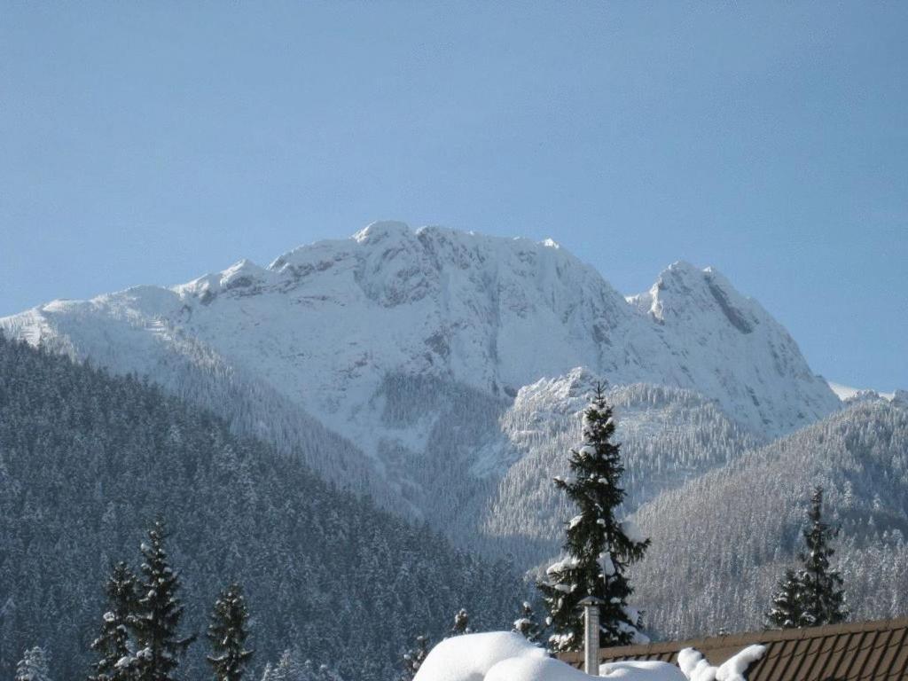 Apartments Zakopane Center Eksteriør billede